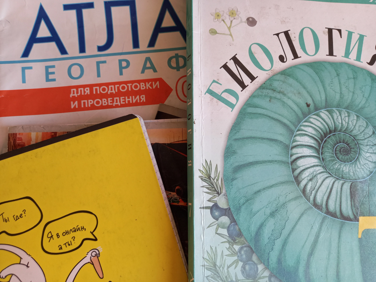 Тетради и учебники. Фото автора. Решила отказаться по козможнотси от иллюстраций ИИ.