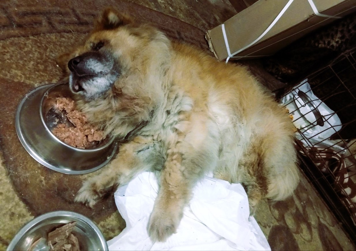 Отель 5 звезд и по три блюда за раз!