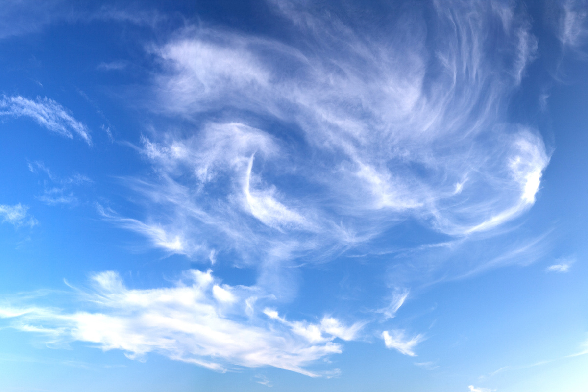 Изображение взято с Freepik