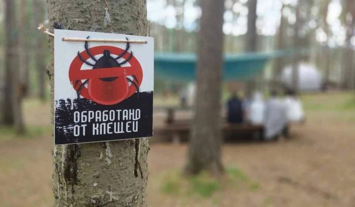     Табличка. Источник: krsk.kp.ru Автор фото: Диана Иванова