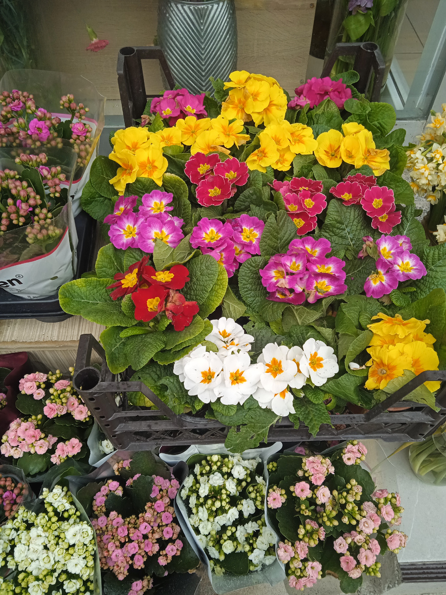 Цветочки продавали. Я на них посмотрела, но решила отложить покупку до после подписания договора.