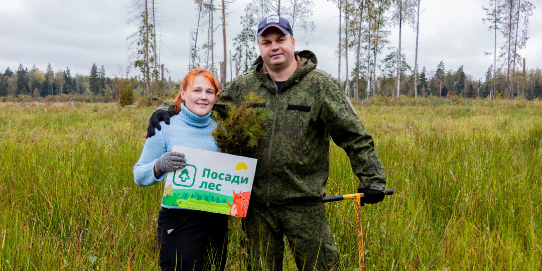 Лес вместо носков: подарок на 23 февраля без срока годности