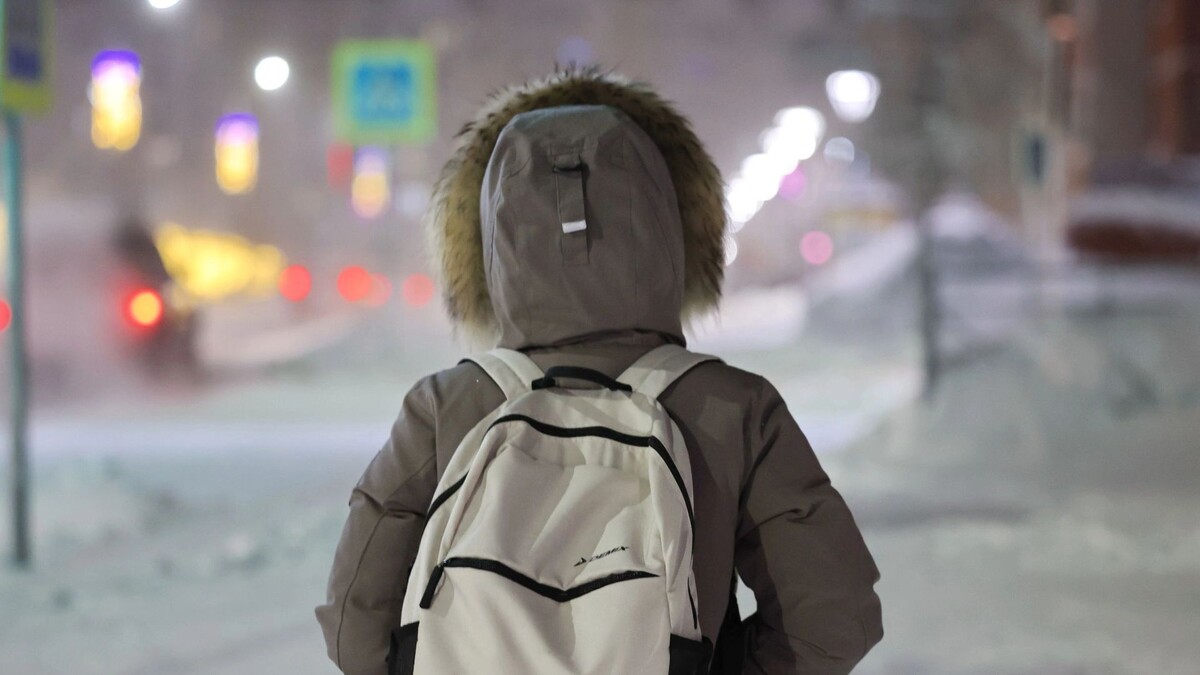    Фото: Андрей Ткачев / «Ямал-Медиа»