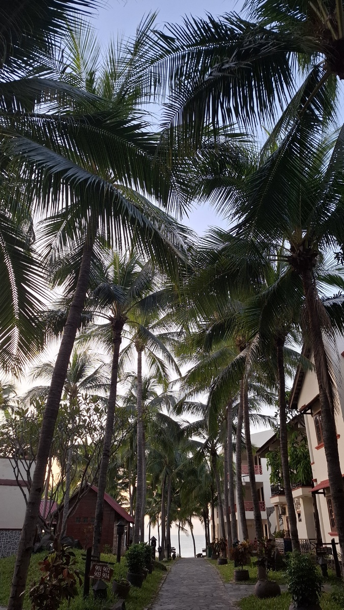  Центральная дорожка к пляжу в Ocean Star Resort