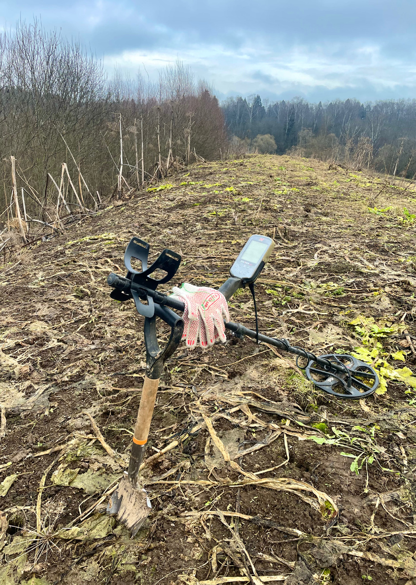 Ну разве скажешь, что середина декабря?
