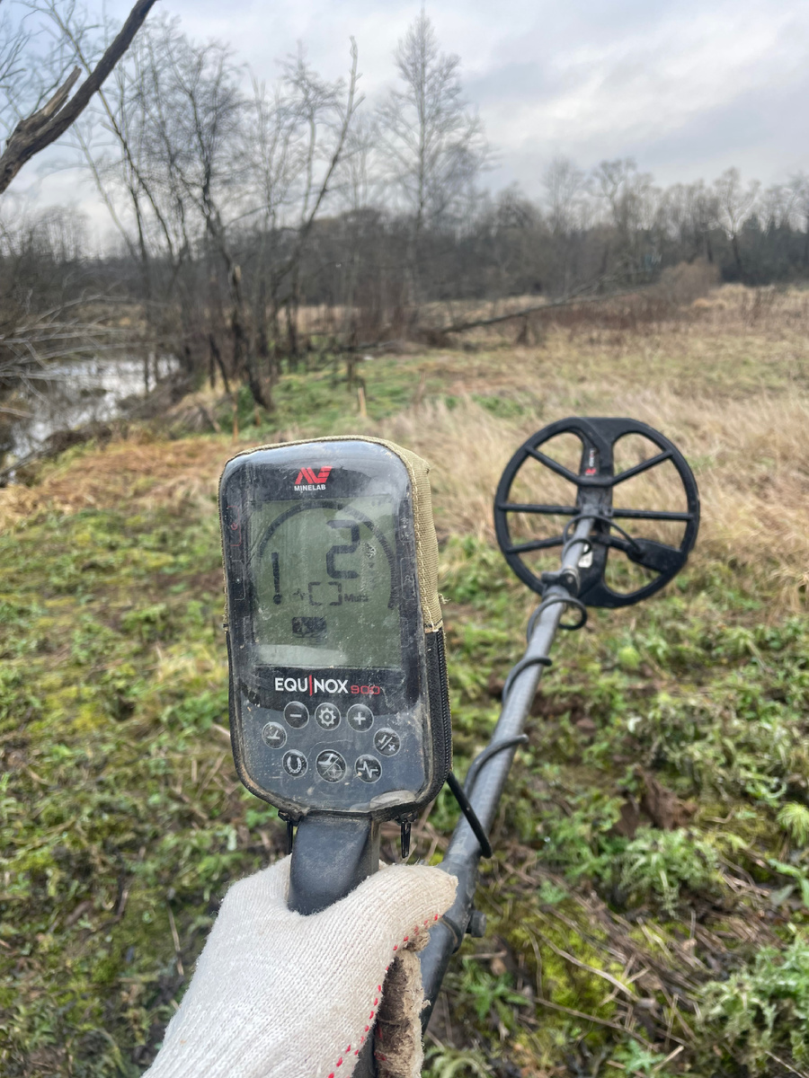 Веник в стойке! Он уже почуял старинное серебро - осталось только дойти до него и выкопать)