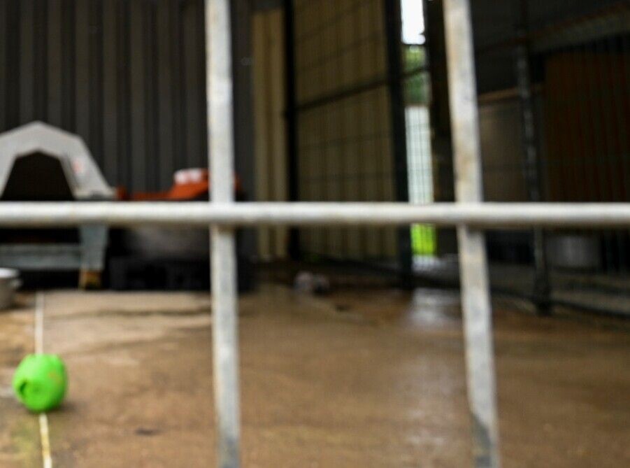     / Источник: © SEBASTIEN BOZON / POOL/ТАСС