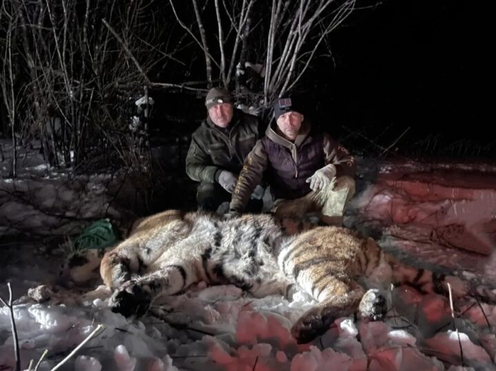    Фото:телгерам-канал Управления охотничьего хозяйства Правительства Хабаровского края