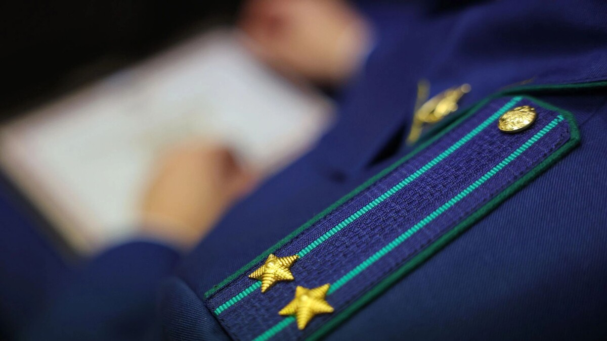    Фото: Андрей Ткачев / «Ямал-Медиа»