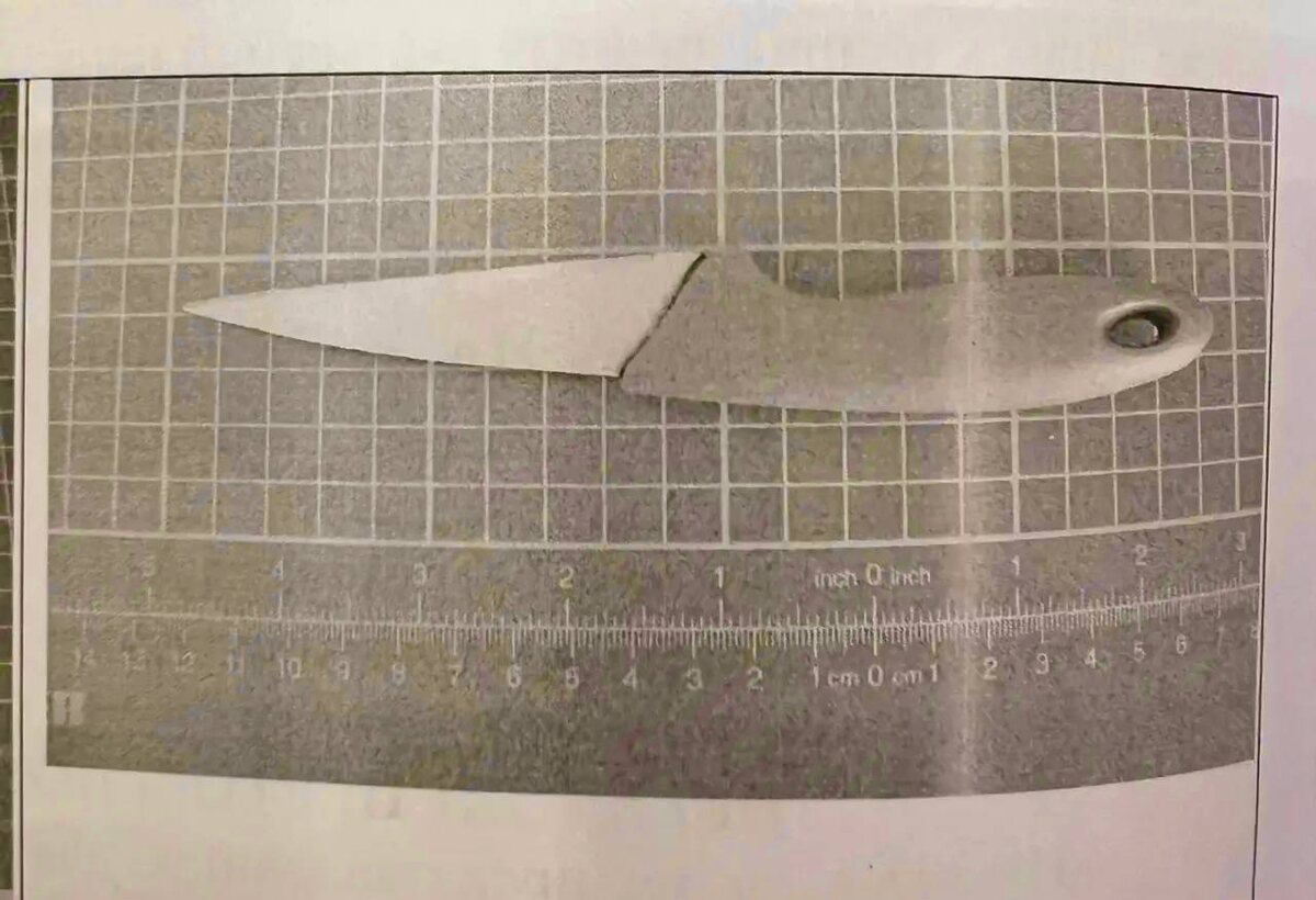 Тамбовчанка нанесла супругу удар ножом, которым чистила картошку