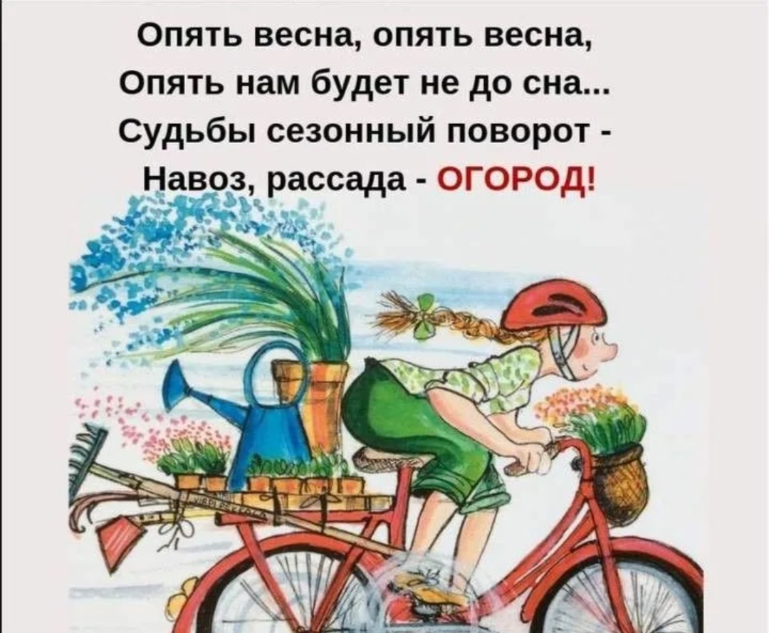 Яндекс картинки