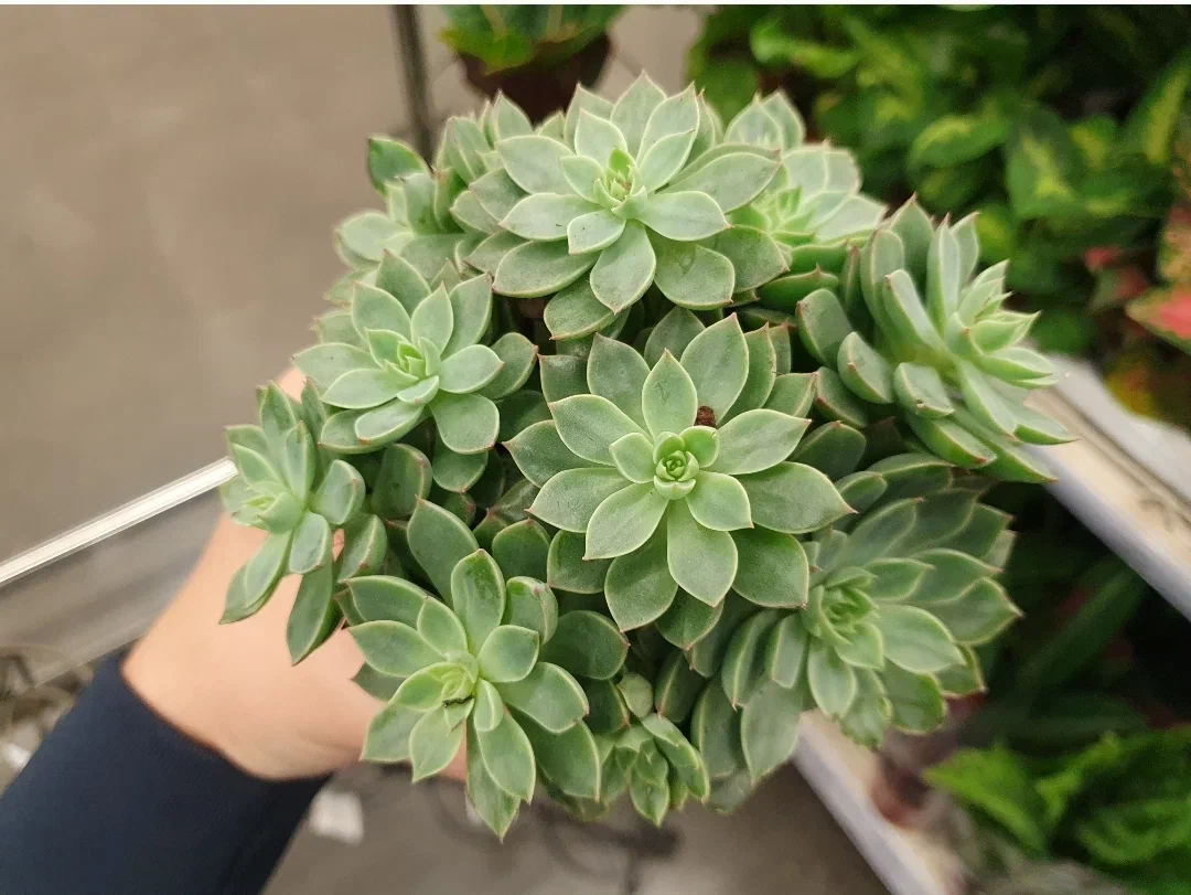 Много всего в магазинах, но всё что-то не то