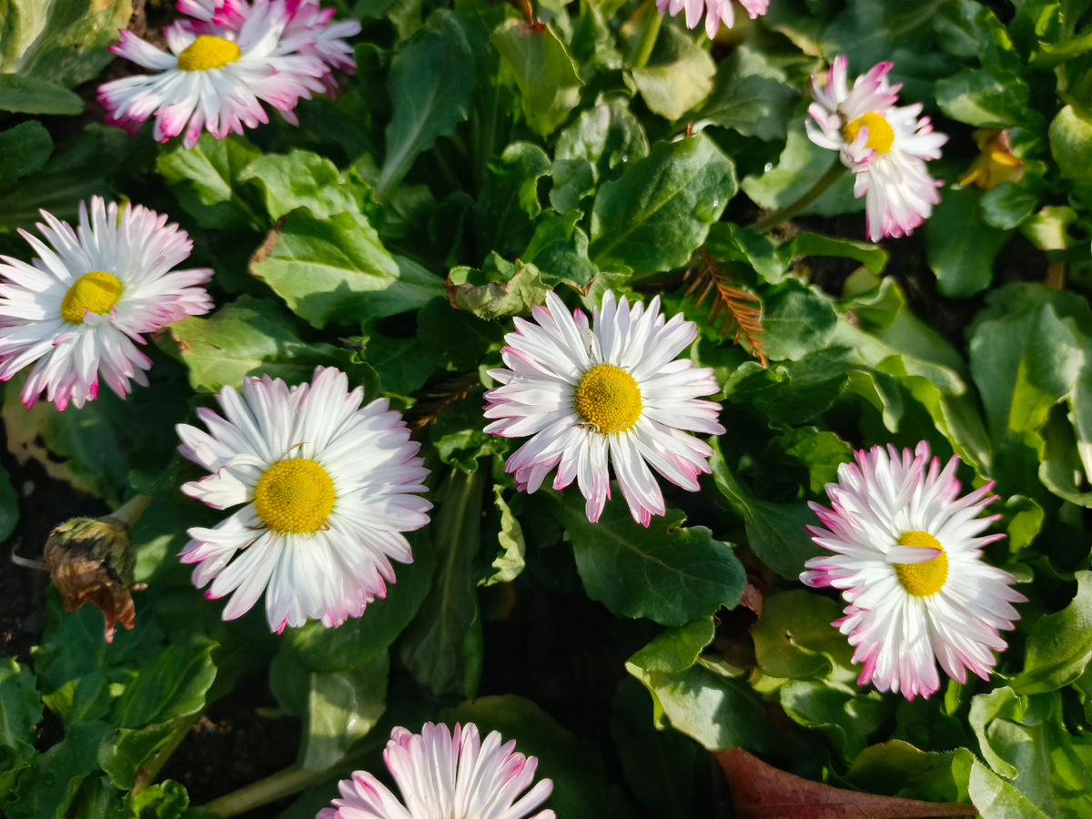 Адлер, февраль 2026 года