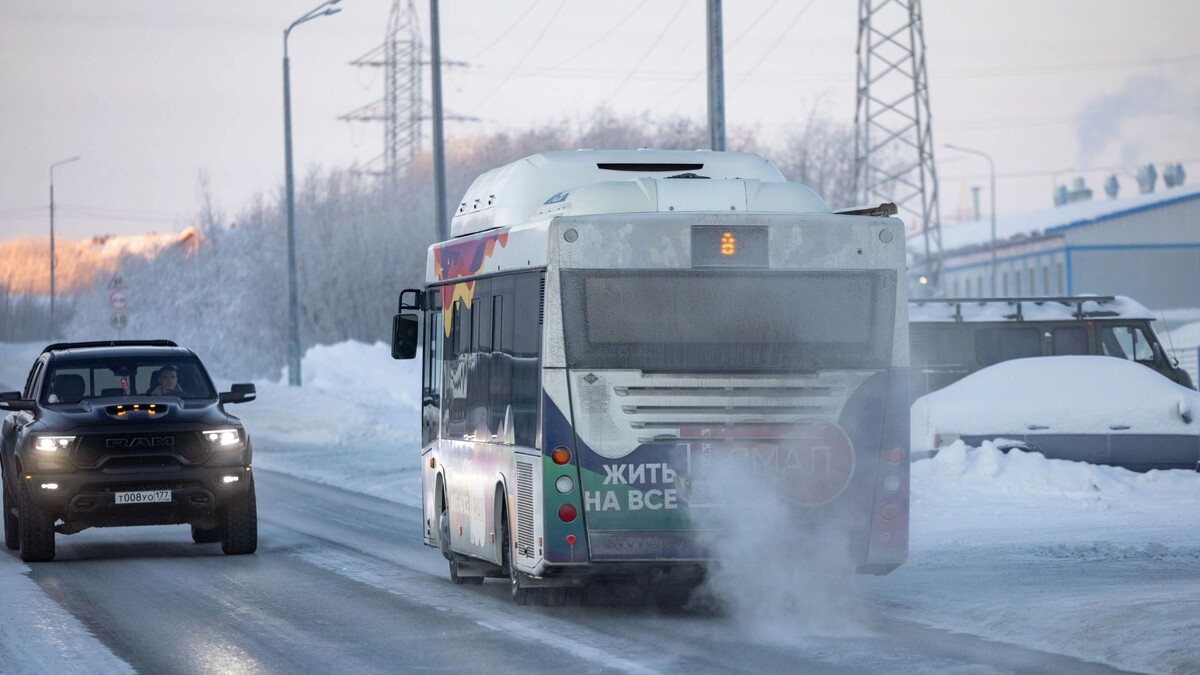    Фото: Сергей Зубков / «Ямал-Медиа»