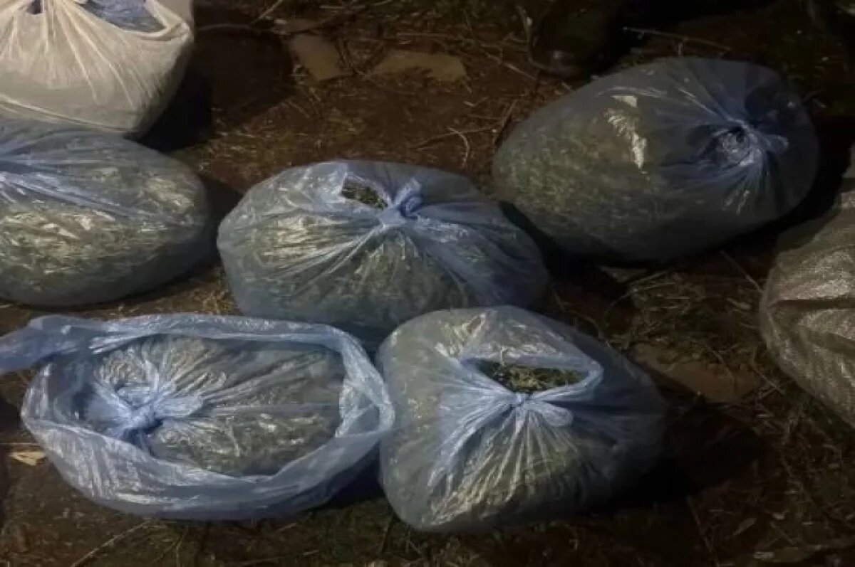    У жителя Астраханской области изъяли почти 5,8 кг каннабиса