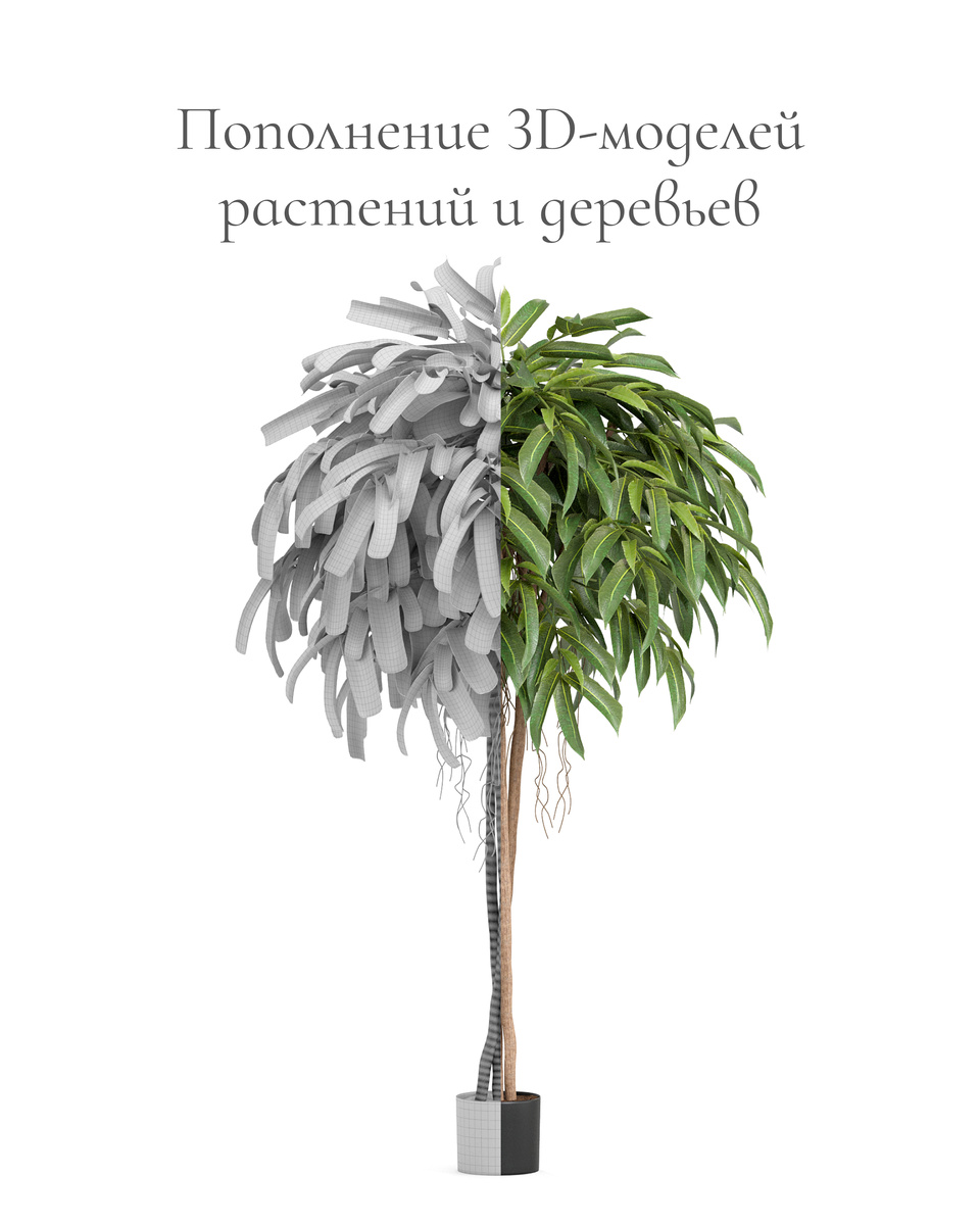 Растения и деревья TREEZ Collection