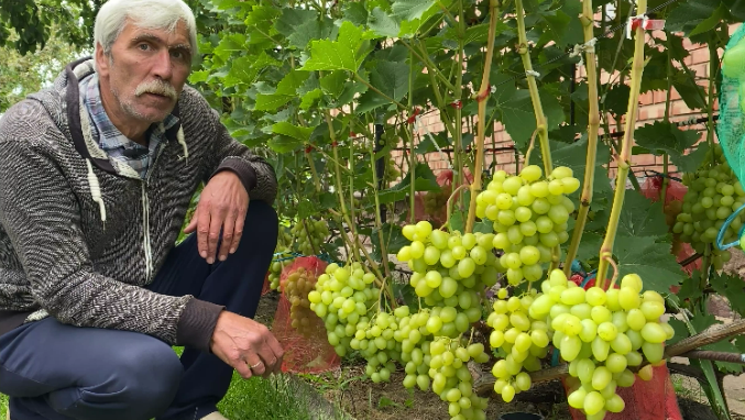 Без права на ошибку