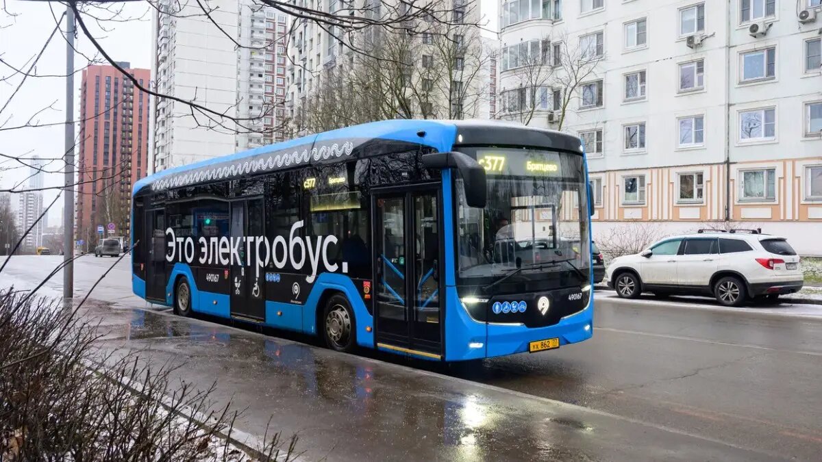    Фото: vm.ru Мила Кузнецова