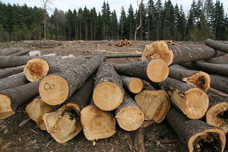 © Владимир Бурнов / РАПСИ