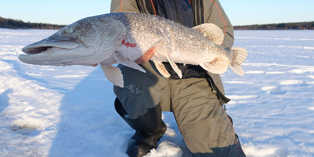 Время изучения метода ловли