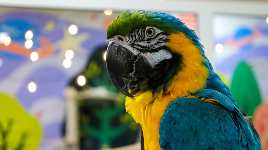    Фото: www.globallookpress.com/Elena Mayorova