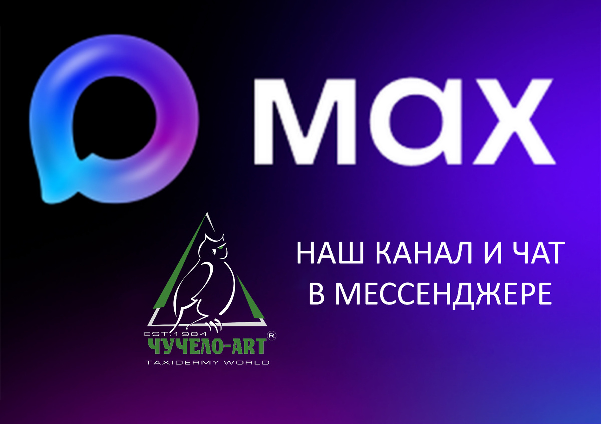 Мы теперь в MAX!
Рады Вам сообщить, что теперь у нас есть официальный канал и чат в мессенджере MAX.
Подписывайтесь на наш новый канал прямо сейчас:
https://max.ru/id7814389149_biz
Пишите и звоните через российский мессенджер MAX:
https://max.ru/u/f9LHodD0cOKf7txNVOOCySPpNiQN-y3VFXTX4AVttg9_j3aI8-Mh7NqOQmA
