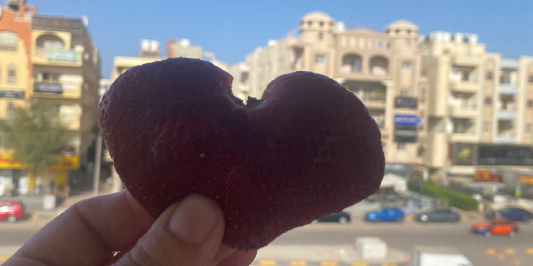 Прогулка по Хургаде