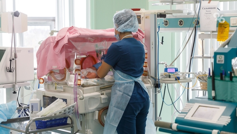      Фото: Дмитрий Ахмадуллин / / ИА «Победа26»