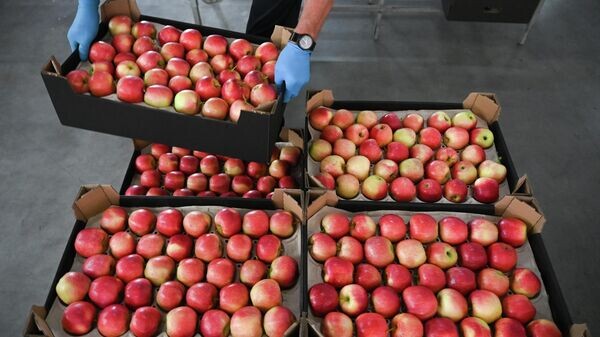    © Sputnik / Максим Блинов