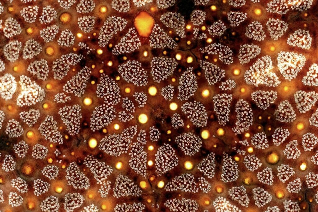 Фото: Вavid Сlode / Unsplash