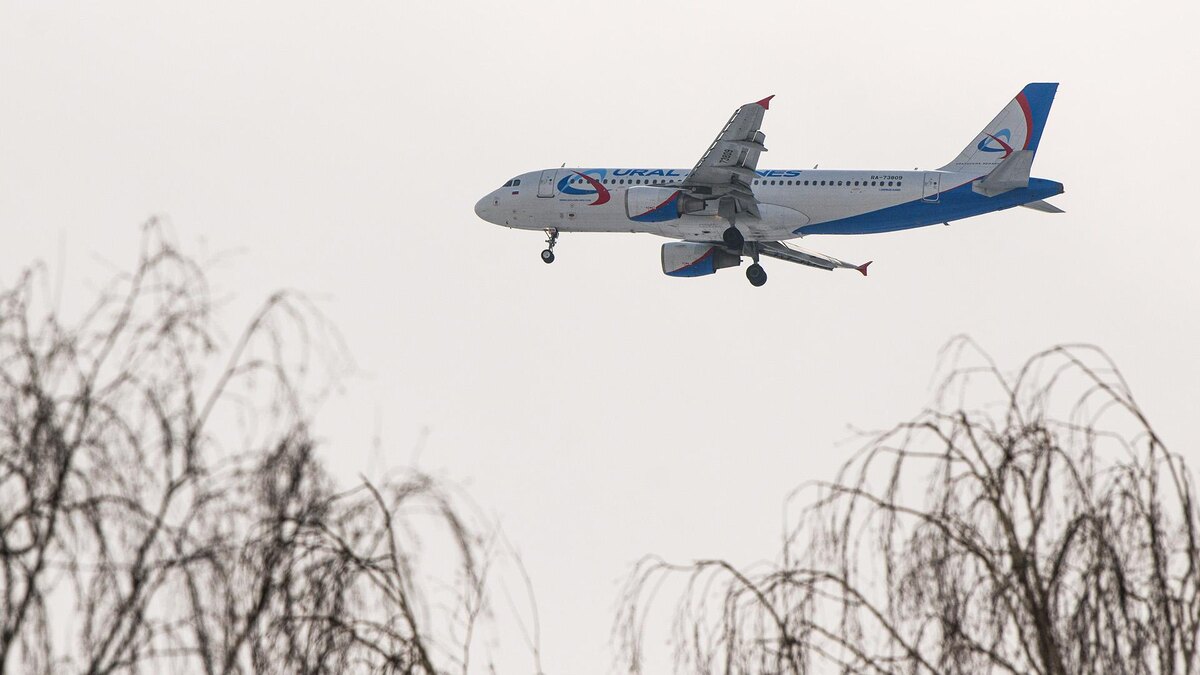    Фото: Ilya Moskovets/globallookpress.com