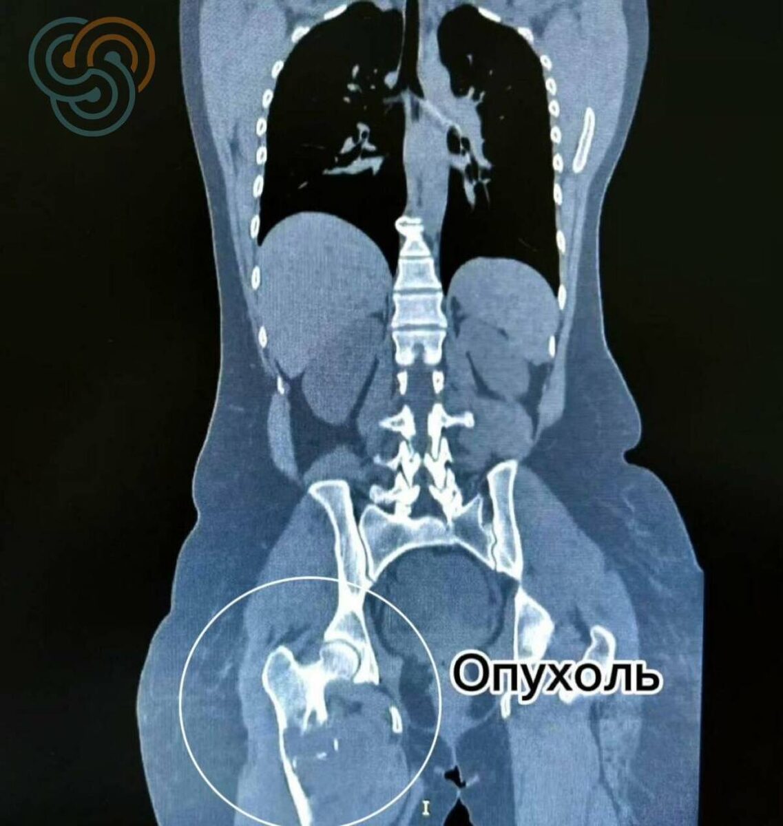 Фото: © РКОД Татарстана