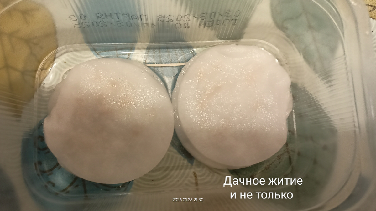 26 января замочила семена туи