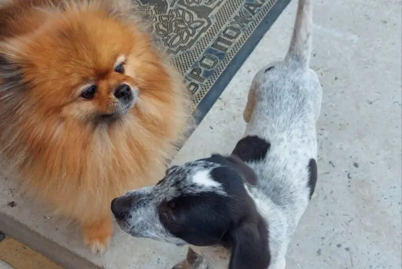     © "Интерфакс". Егор Сильченко