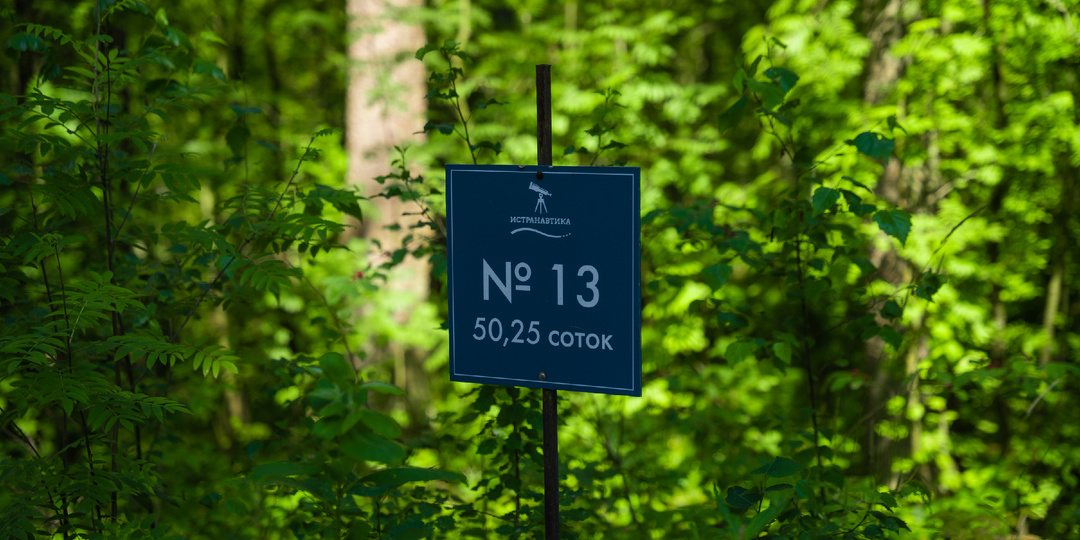 Как коронавирус пересоздал рынок загородной недвижимости и как появилась AmVerde