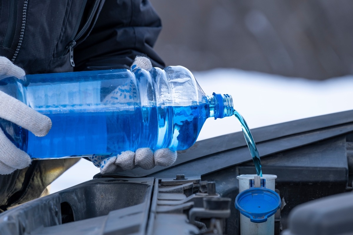    Фото: Sergey Dudikov / Shutterstock.com