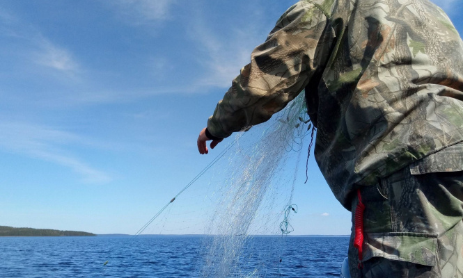    фото: © Столица на Онего