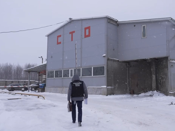     В Великом Новгороде расследуется уголовное дело об убийстве. скриншот видео от пресс-службы СУ СК РФ по Новгородской области
