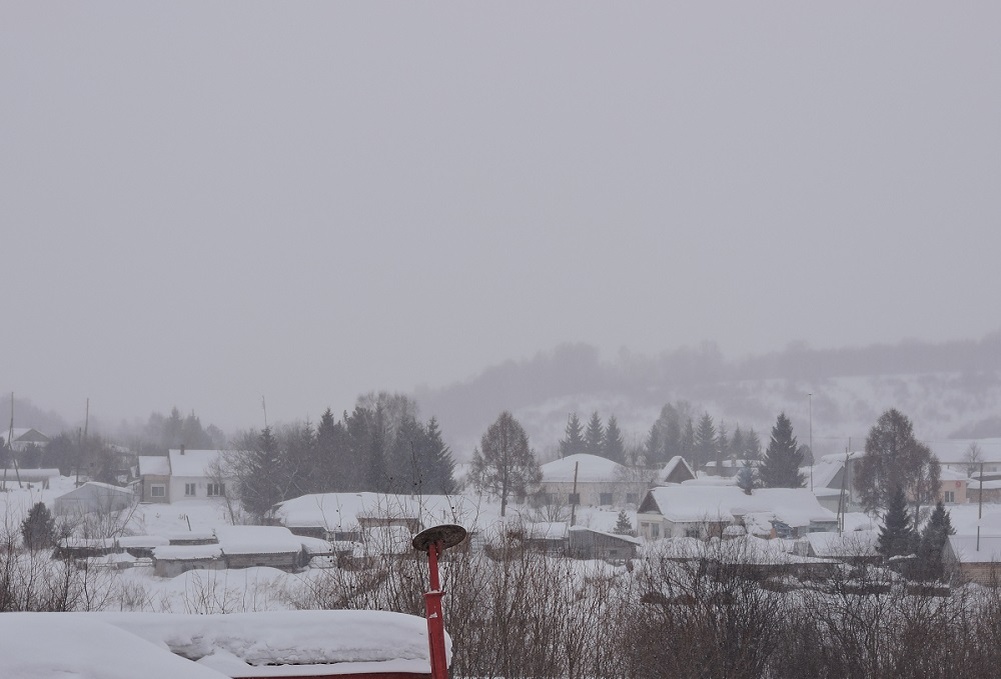    Метель. Фото из архива редакции Анны Зубаревой