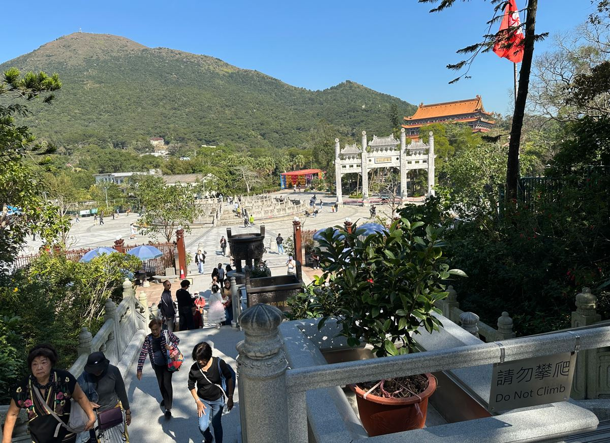 Взгляд назад