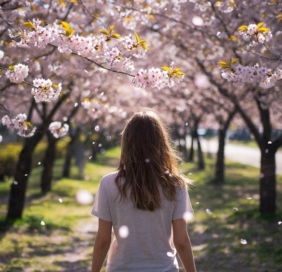 Состояние после регрессии.