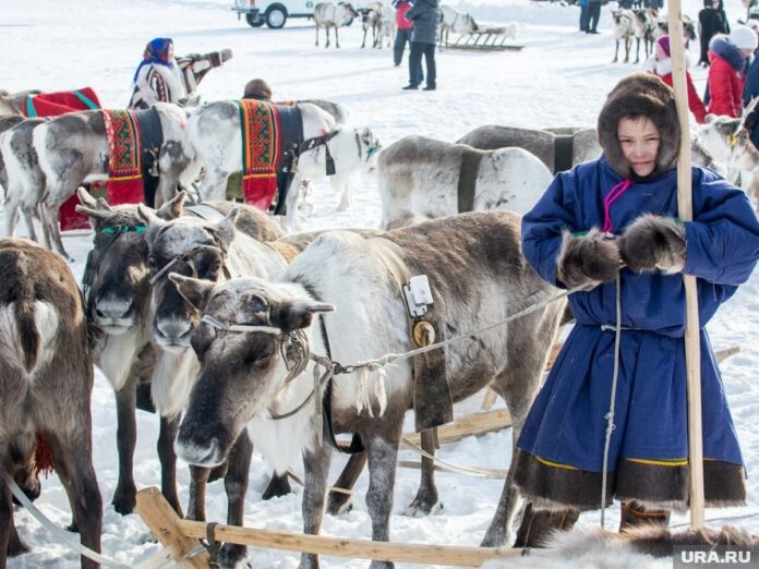    Как инновационные технологии, включая нейросети и значительные инвестиции, трансформируют жизнь и хозяйство в суровых условиях Арктики.
