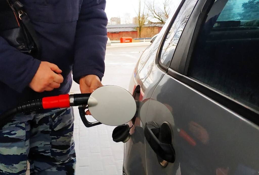    фото: Елена Костюченкова