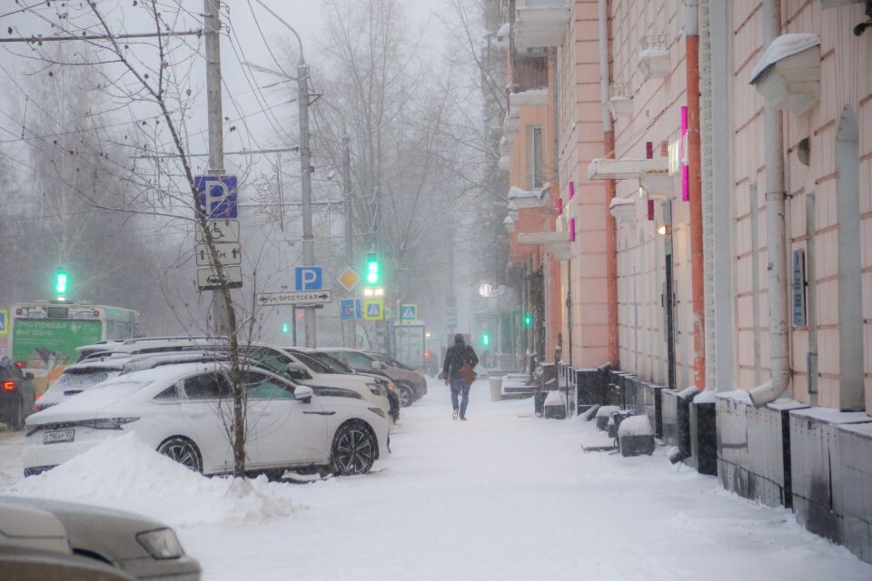    Погода в Барнауле, метель, зима. Источник: Виталий Барабаш