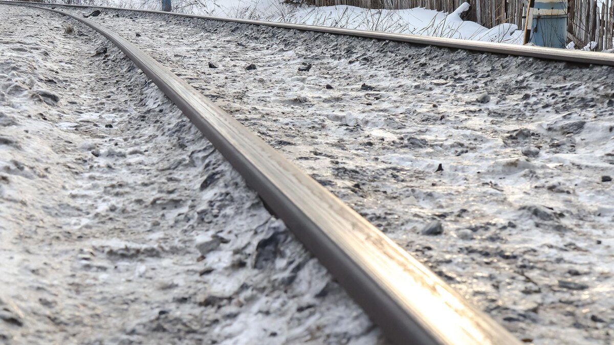    Фото: Elena Mayorova/globallookpress.com