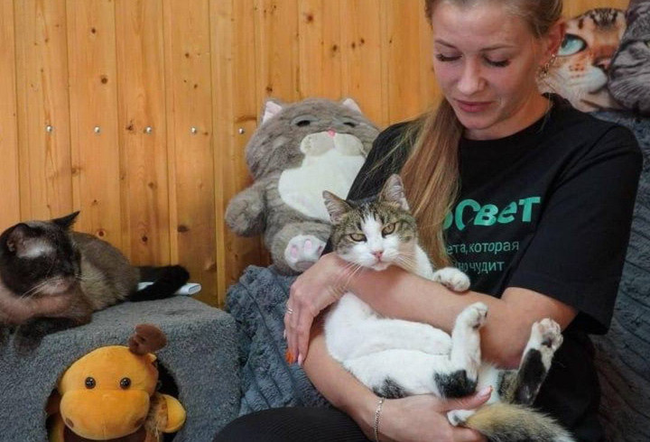 фото: Ветслужба Ялты