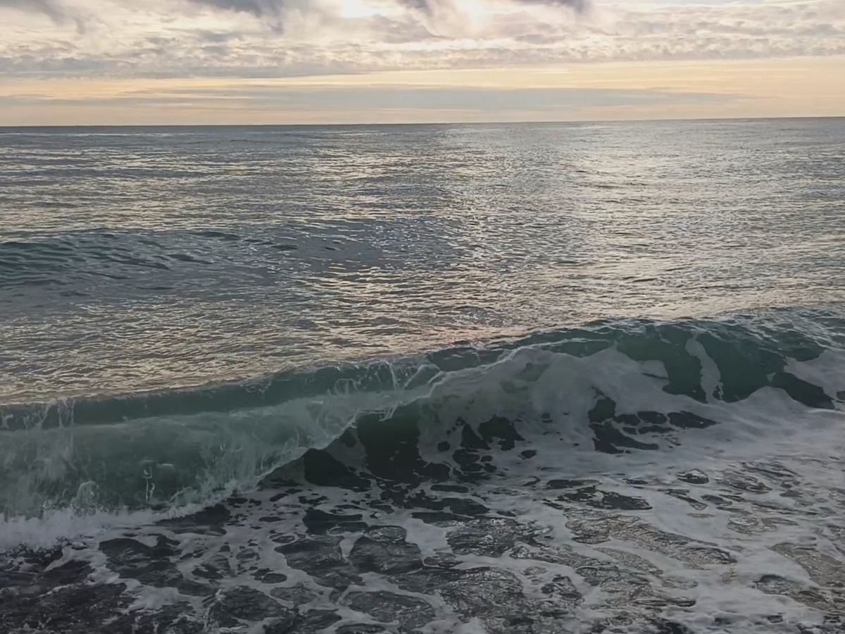 ФТ Сириус, Имеретинская набережная, февраль 2026 года