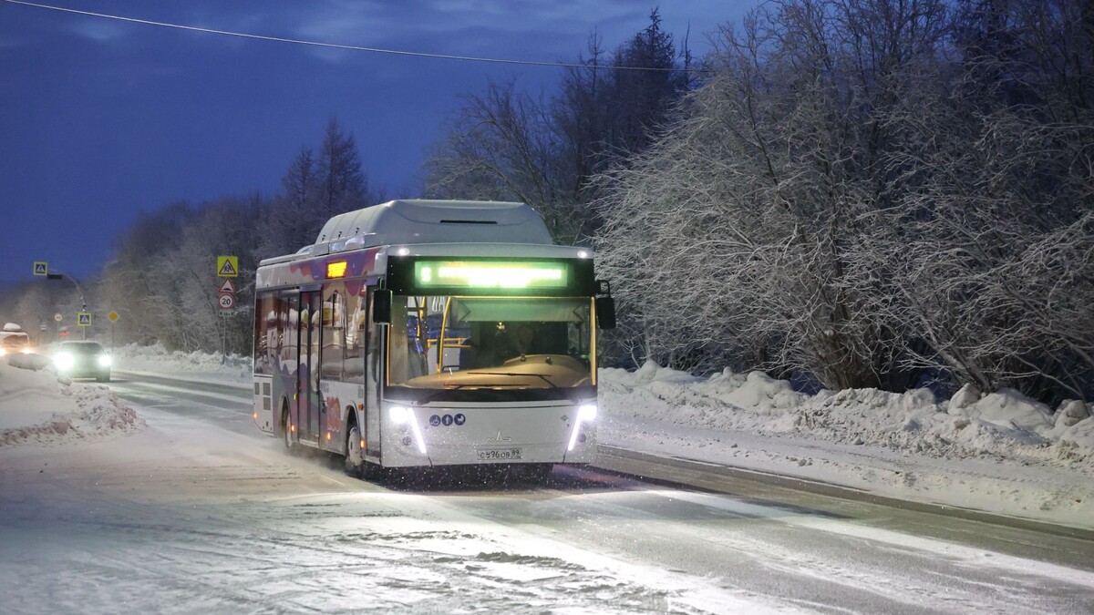    Фото: Андрей Ткачёв / «Ямал-Медиа»