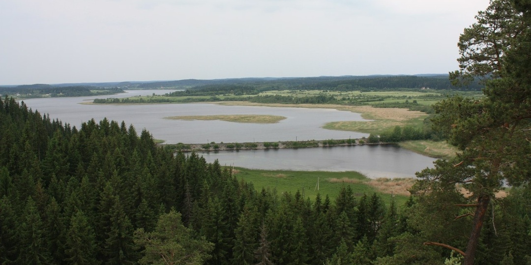 Когда опять в Карелию сбежишь. Заметки подростка