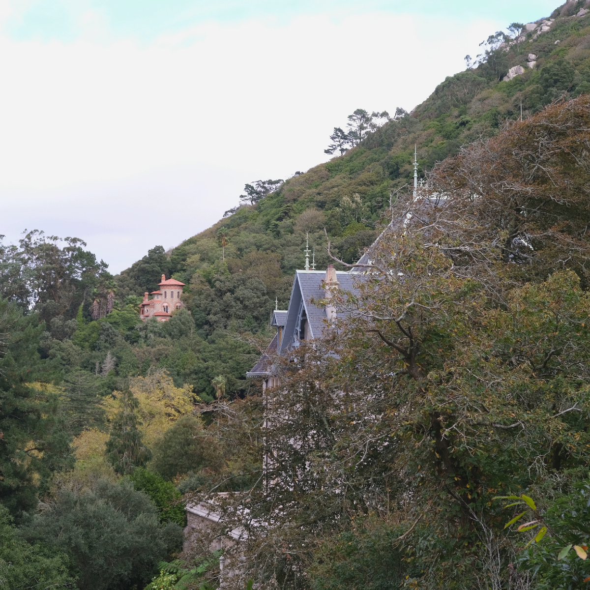 Дворец Бистер таинсвенно скрывается за деревьями